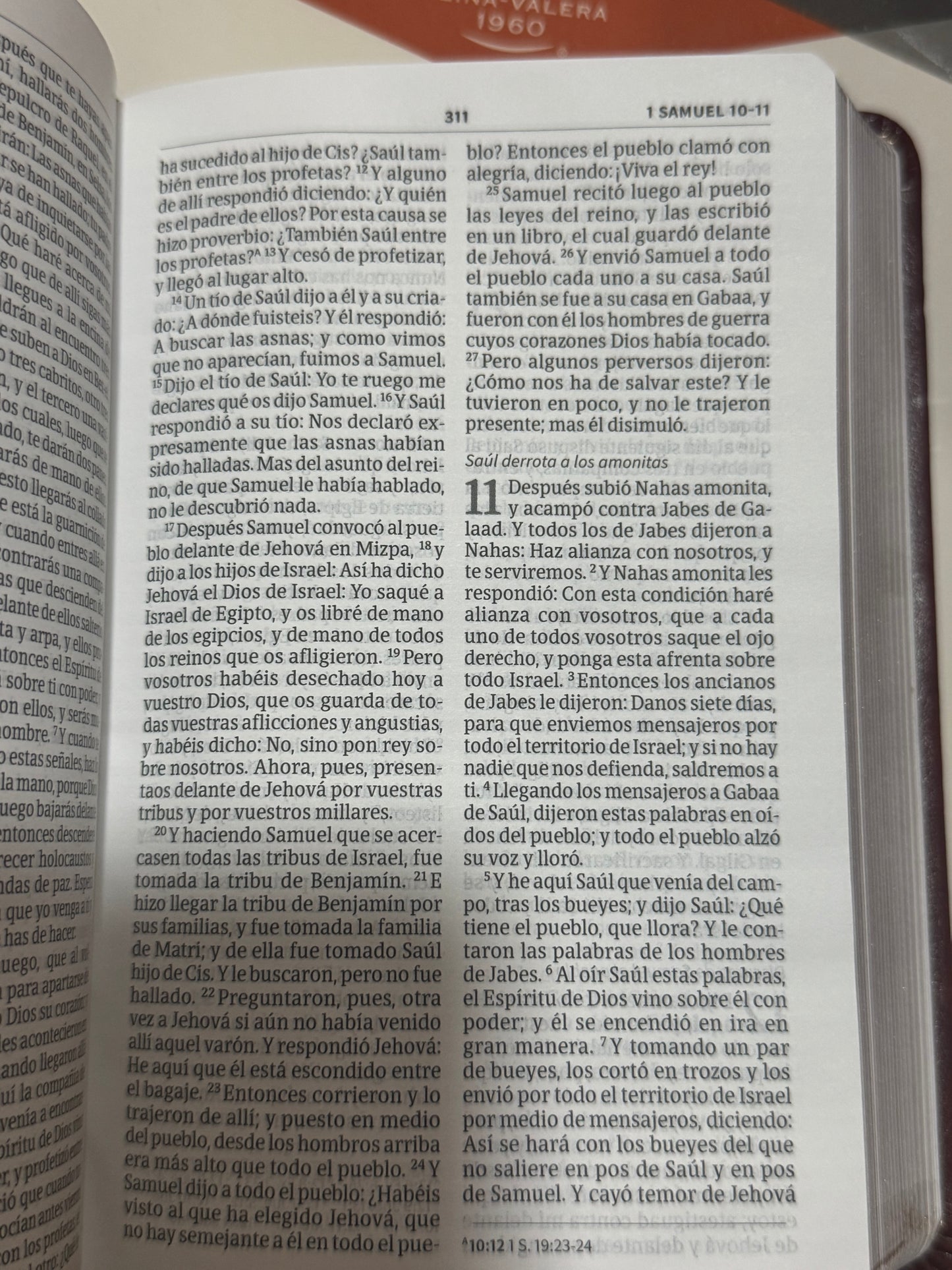 Biblia RVR 1960 letra grande compacta