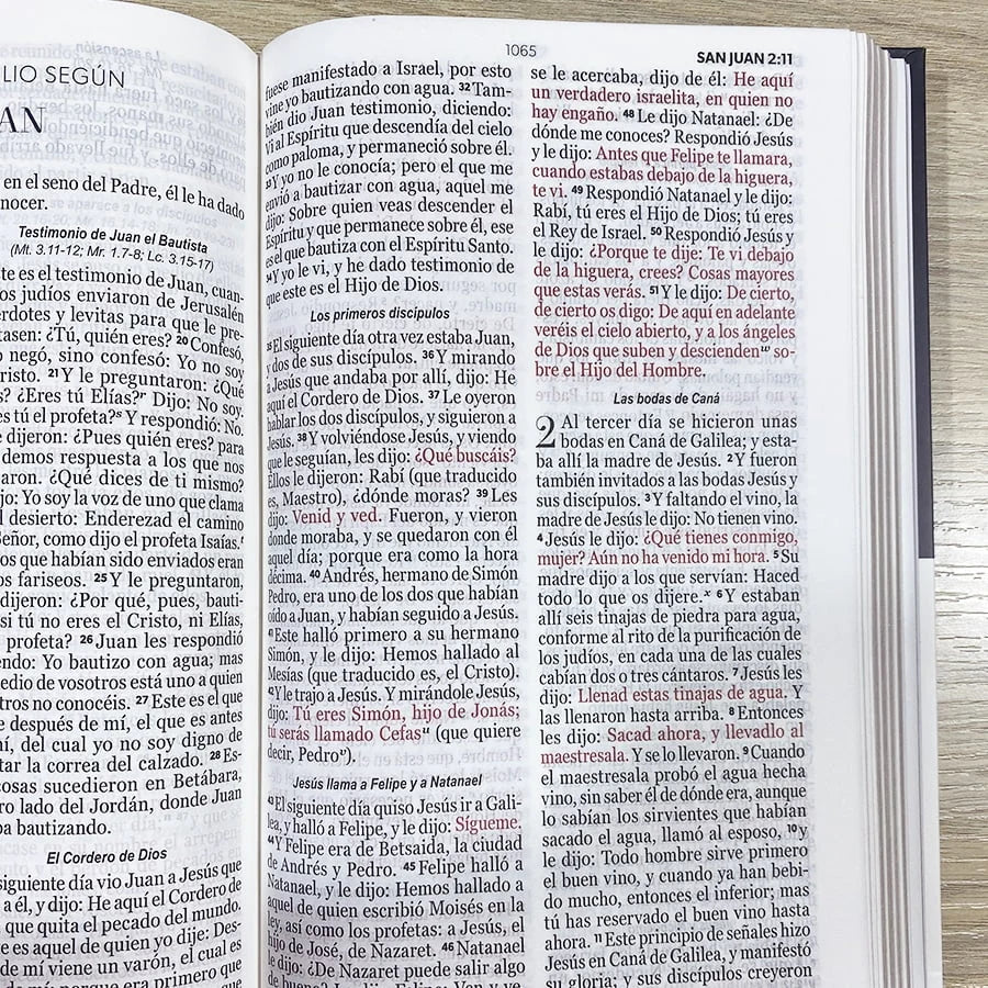 Biblia RVR 1960 Letra Grande Tierra Santa