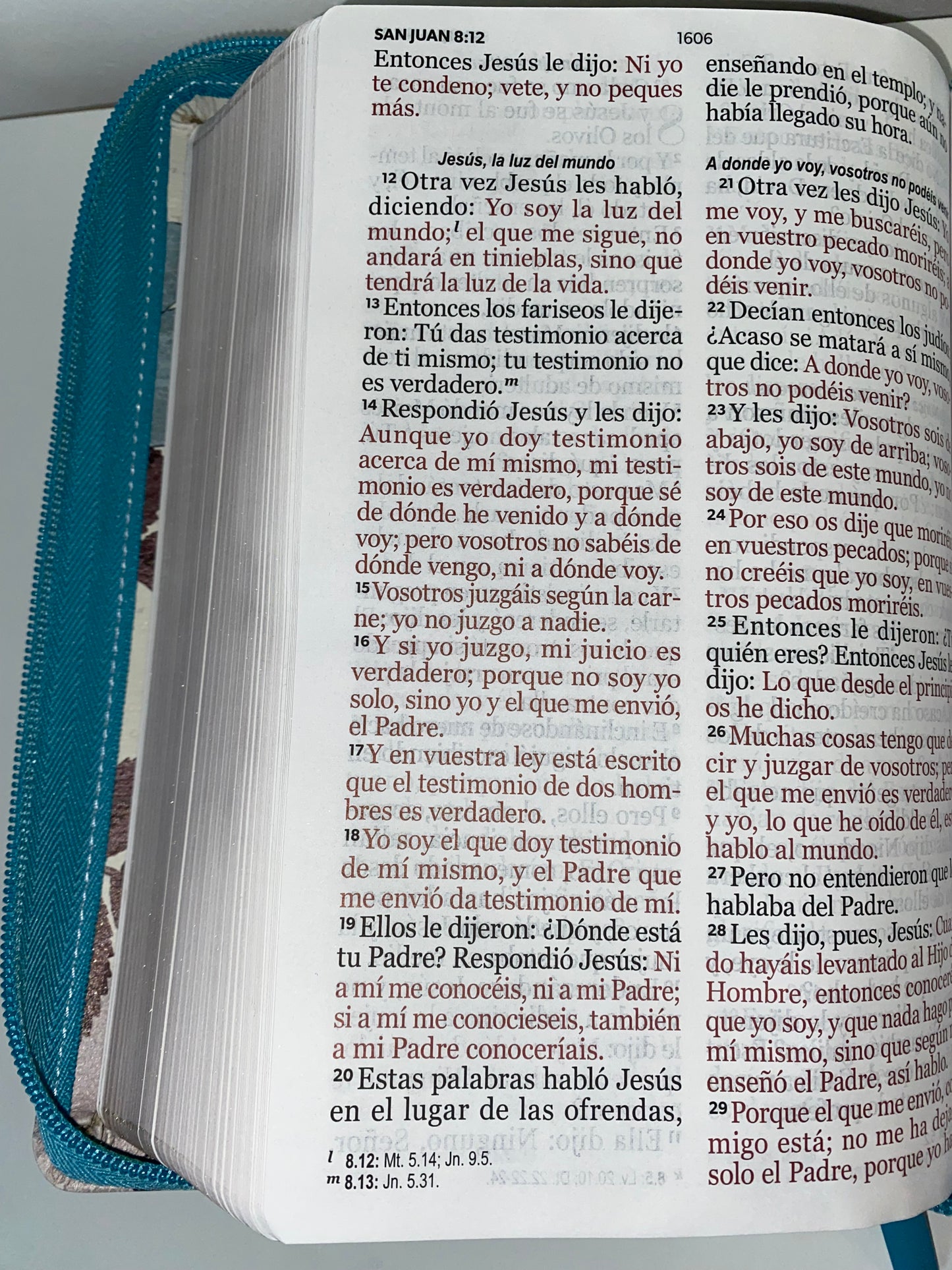 Biblia Letra Gigante RVR 1960