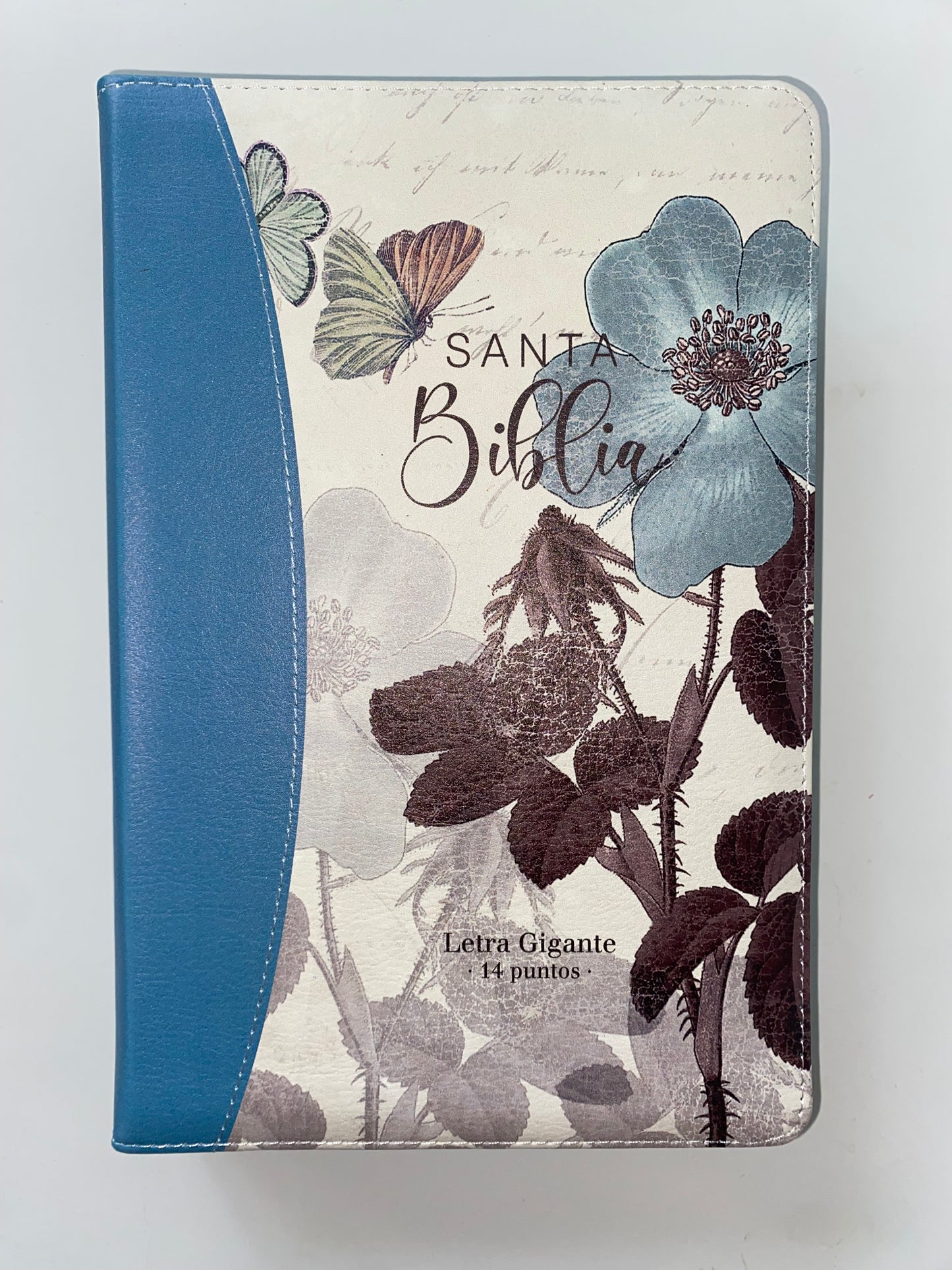 Biblia Letra Gigante RVR 1960