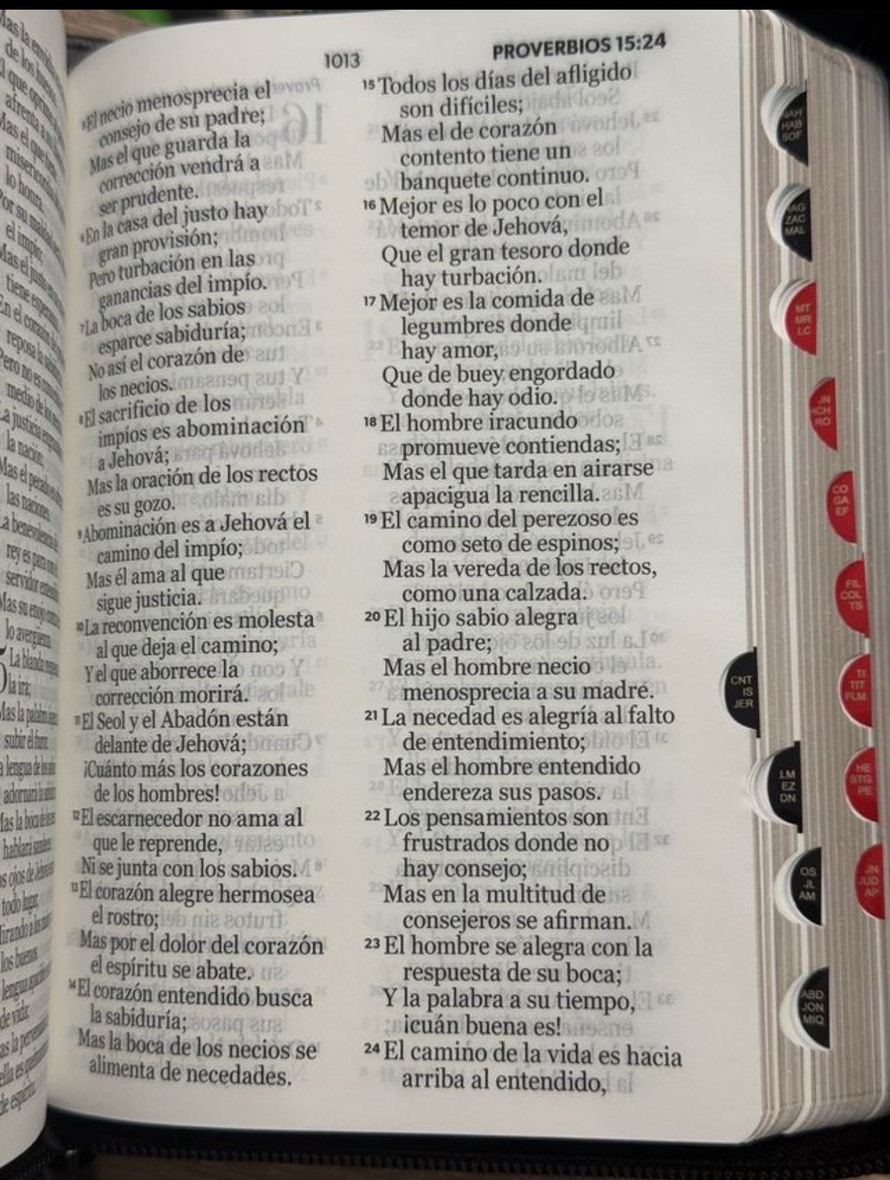Biblia RVR 1960 letra grande espada