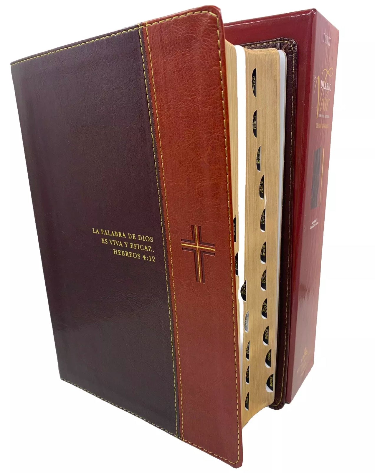 Biblia RVR 1960 diario vivir indice letra Grande