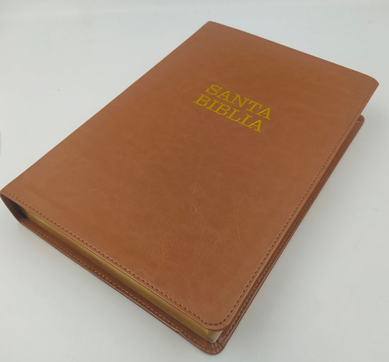 Biblia NTV Letra Gigante