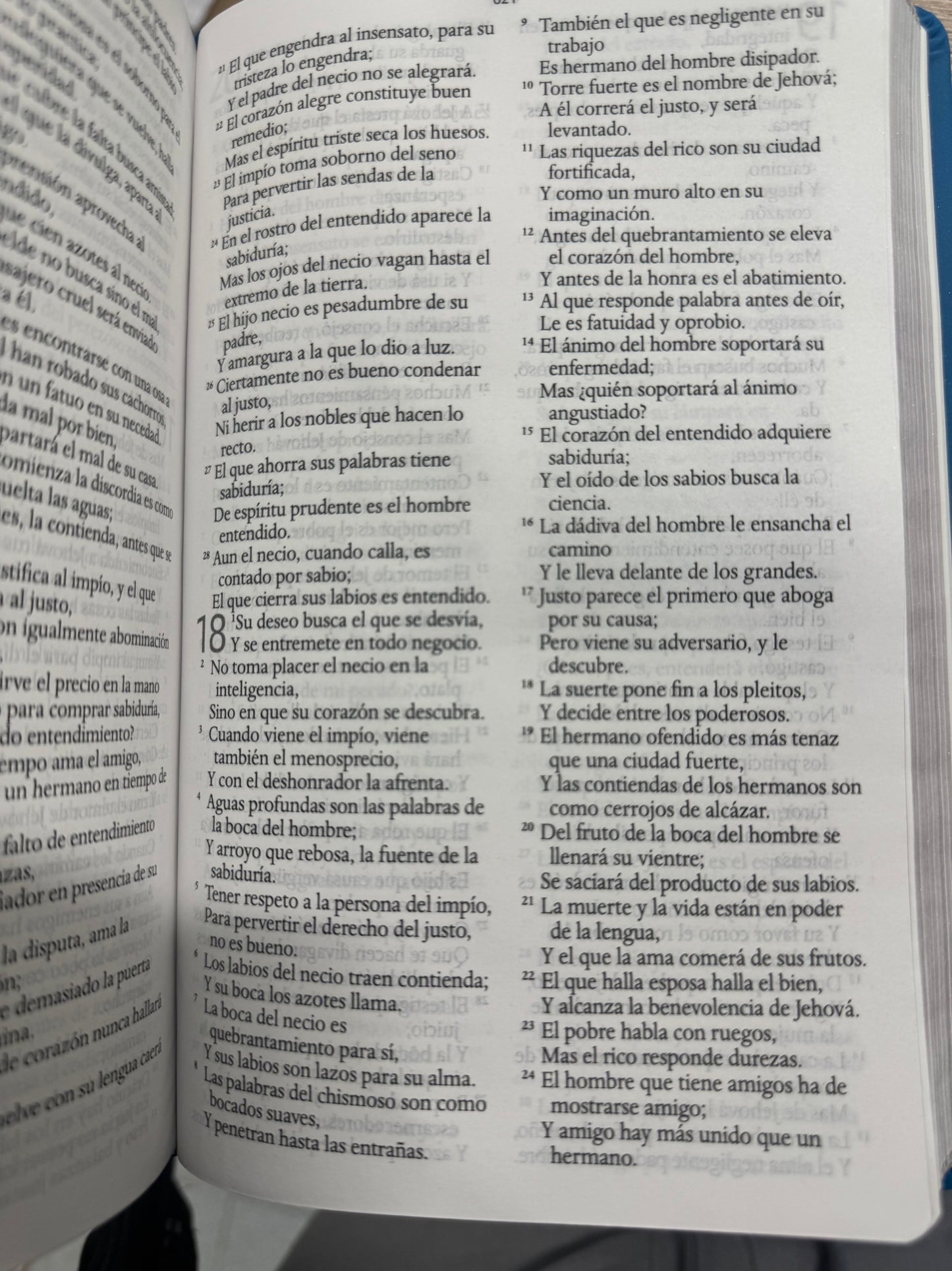 Biblia RVR 1960 Letra Grande Turquesa