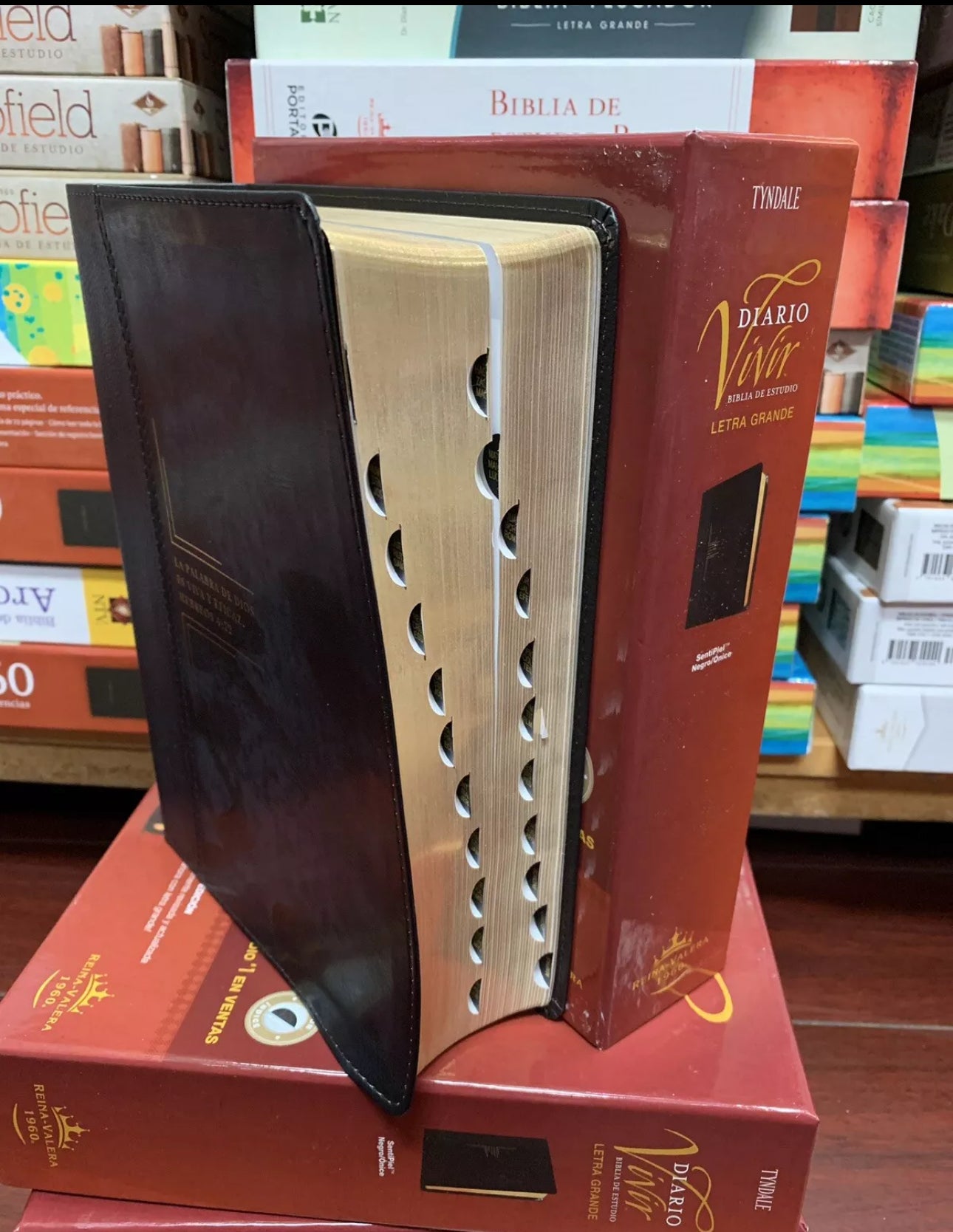 Biblia Diario Vivir RVR 1960 Letra Grande Indice