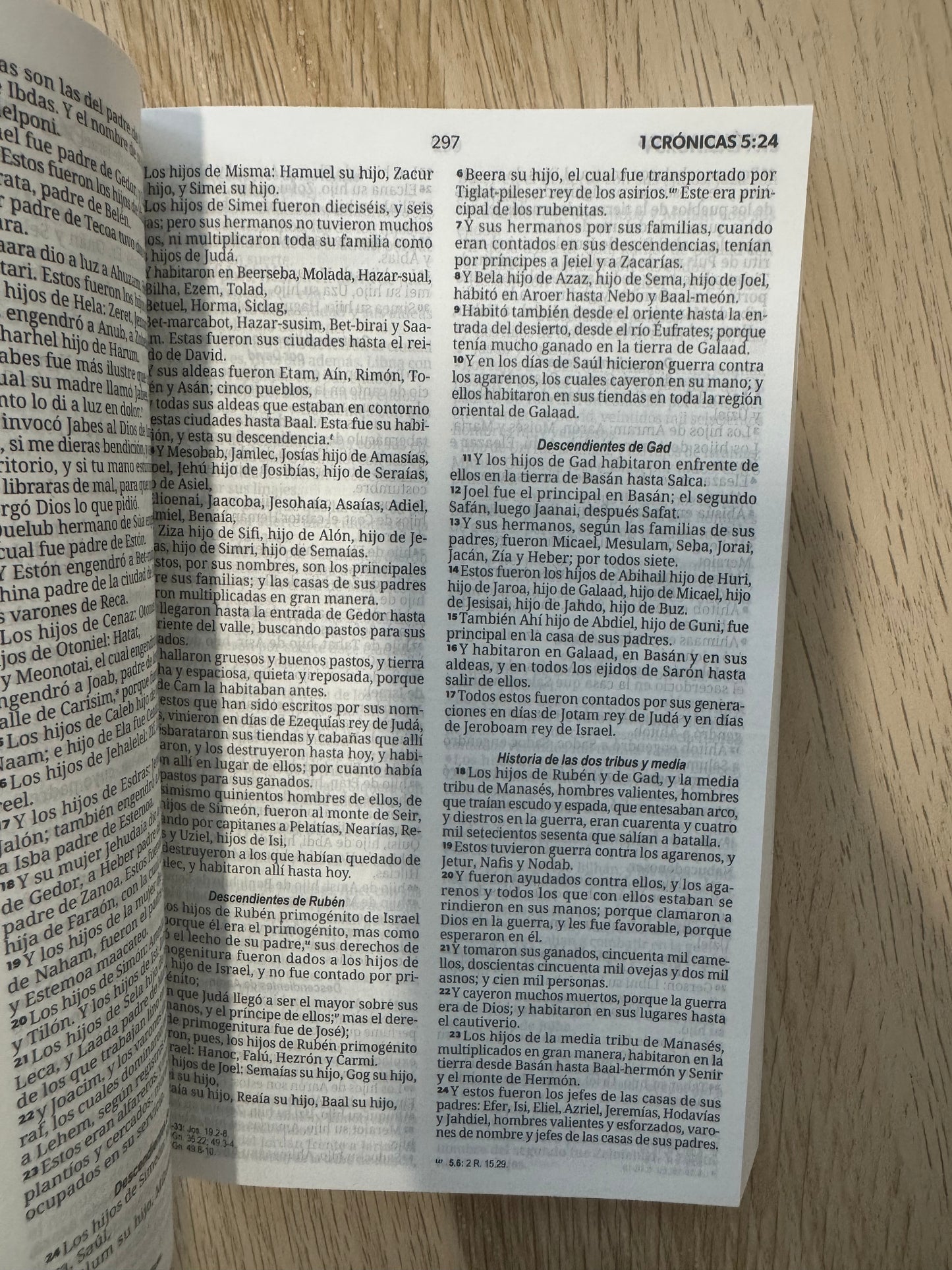 Biblia RVR 1960 Economica