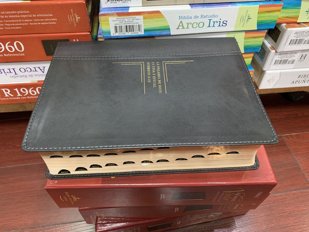 Biblia Diario Vivir RVR 1960 Letra Grande Indice
