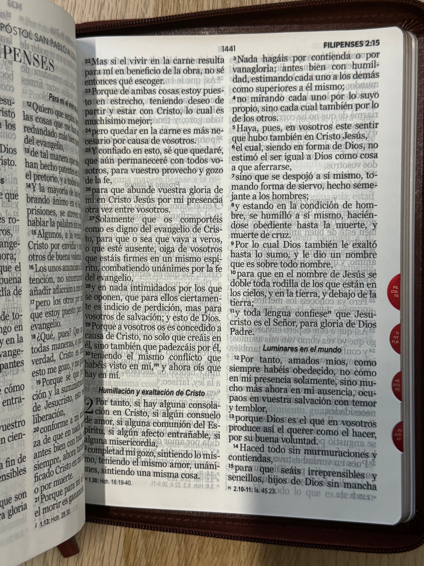 Biblia RVR 1960 letra gigante índice