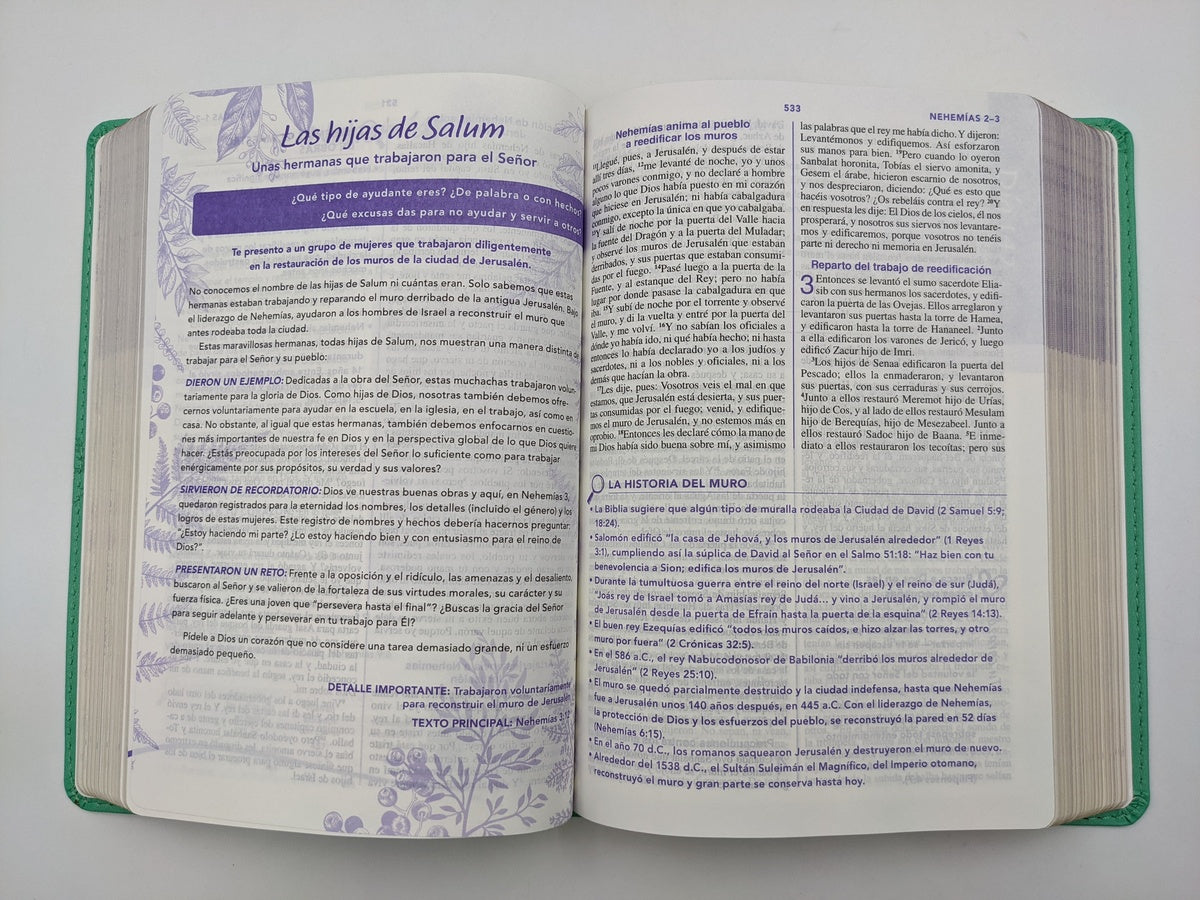 Biblia de una joven conforme al corazón de Dios semi piel verde