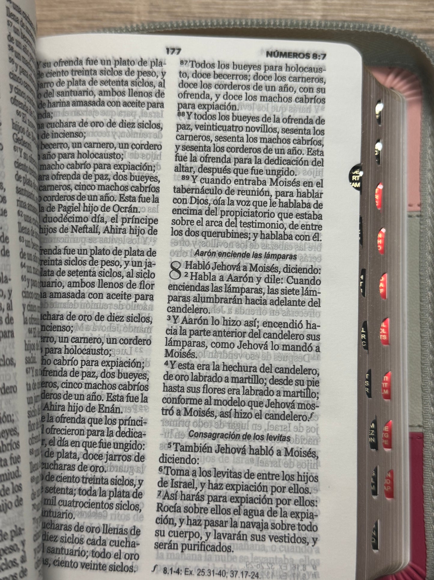 Biblia RVR 1960 Bolsillo Índice