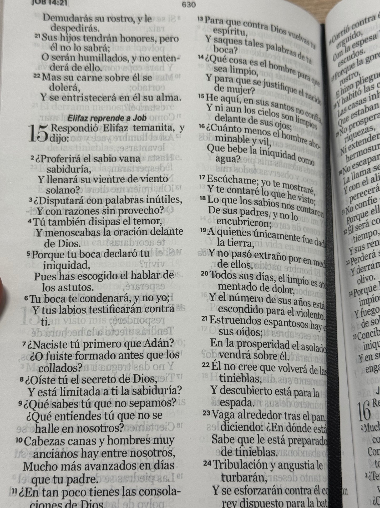 Biblia RVR 1960 Letra Grande Tamaño Manual