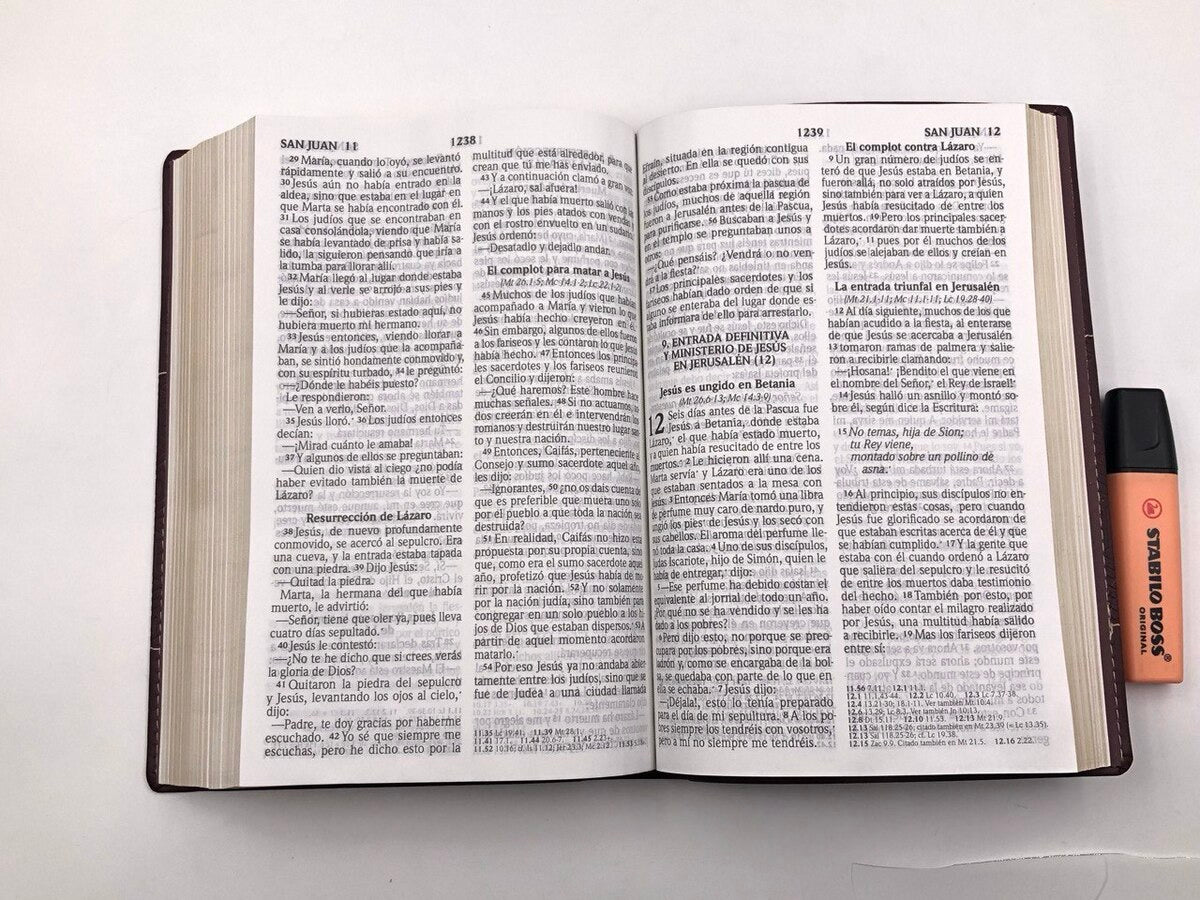 Biblia RVR2020 Tamaño Manual Letra Grande