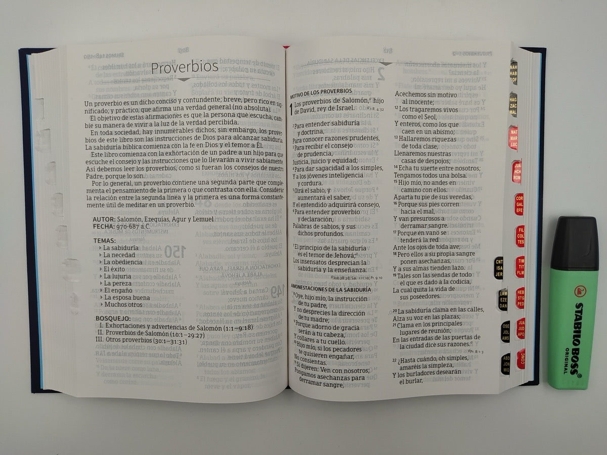Biblia RVR 1960 Letra Grande Tamaño Manual Letra Grande Tamaño Manual Bordado sobre tela con Índice
