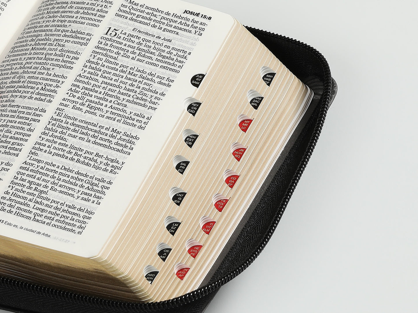 Biblia RVR60 Bolsillo Negro Con cierre Indice