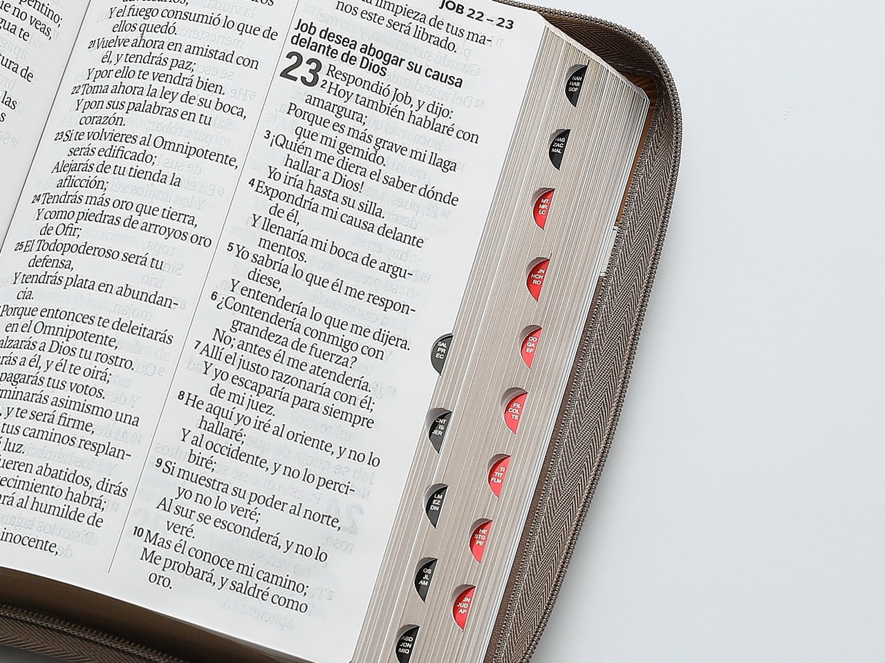 Biblia RVR60 Letra Súper Gigante cafe