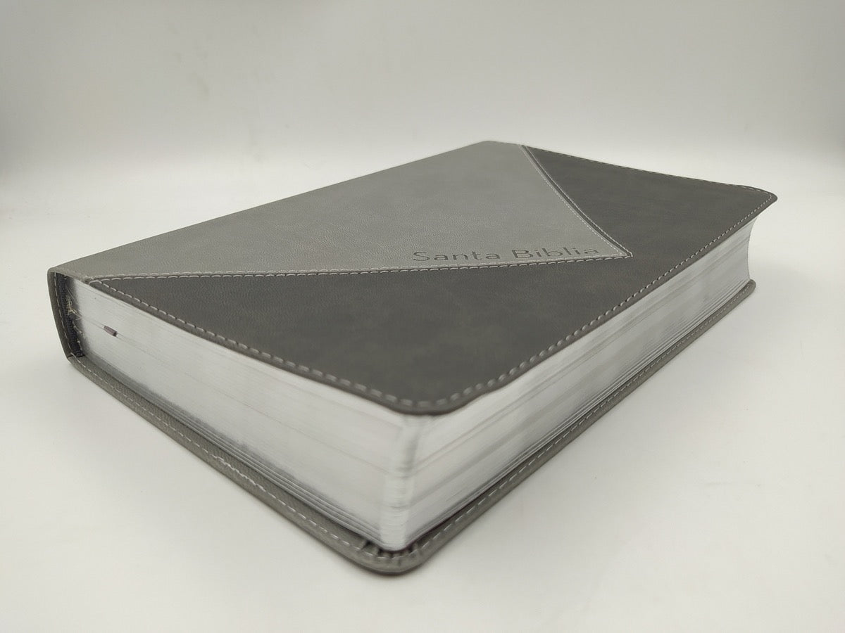 Biblia Thompson RVR60 piel gris
