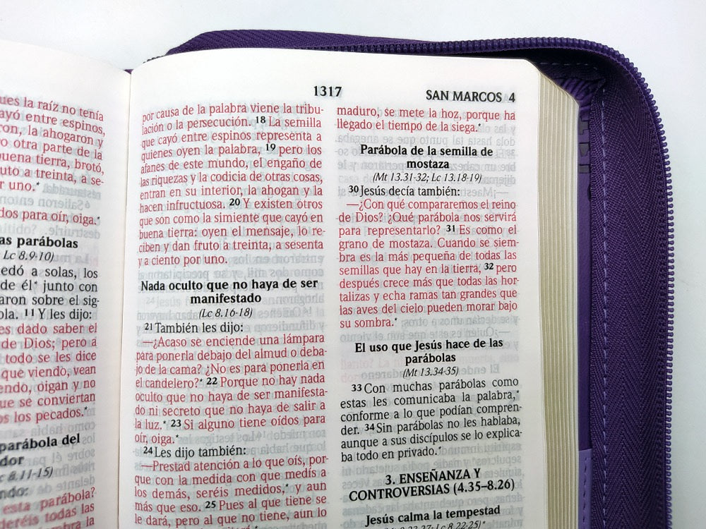 Biblia RVR2020 portátil letra grande cierre turquesa