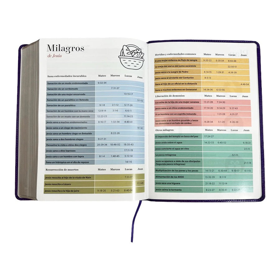 Biblia RVR60 súper gigante letra 19 puntos