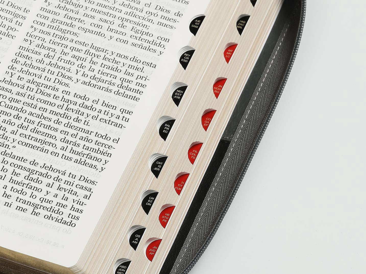 Biblia RVR60 Letra Gigante Leon con Ciere