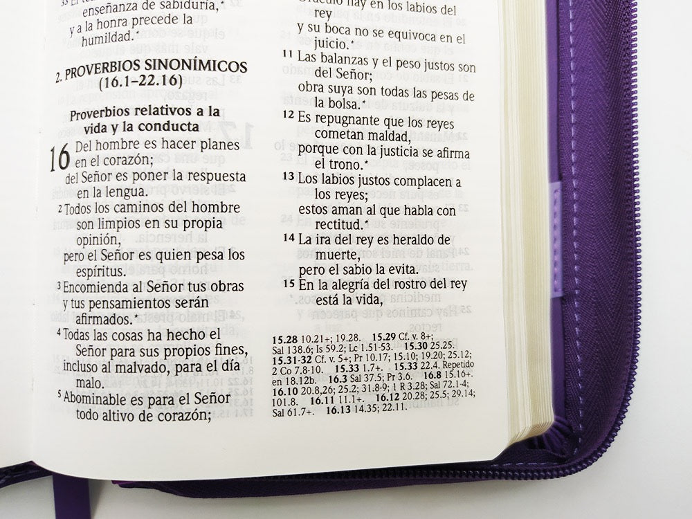 Biblia RVR2020 portátil letra grande cierre