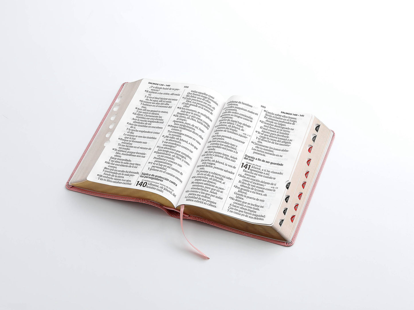 Biblia RVR60 Letra Súper Gigante rosa