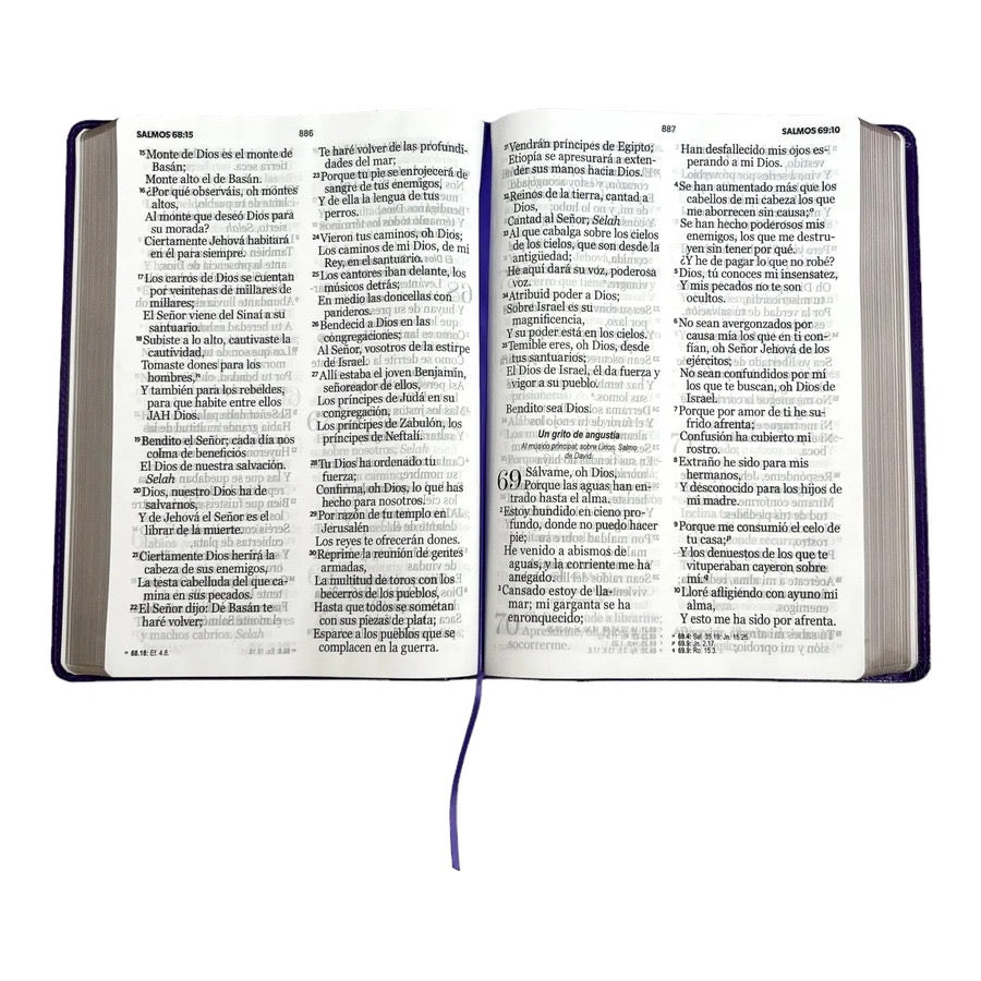 Biblia RVR60 súper gigante letra 19 puntos