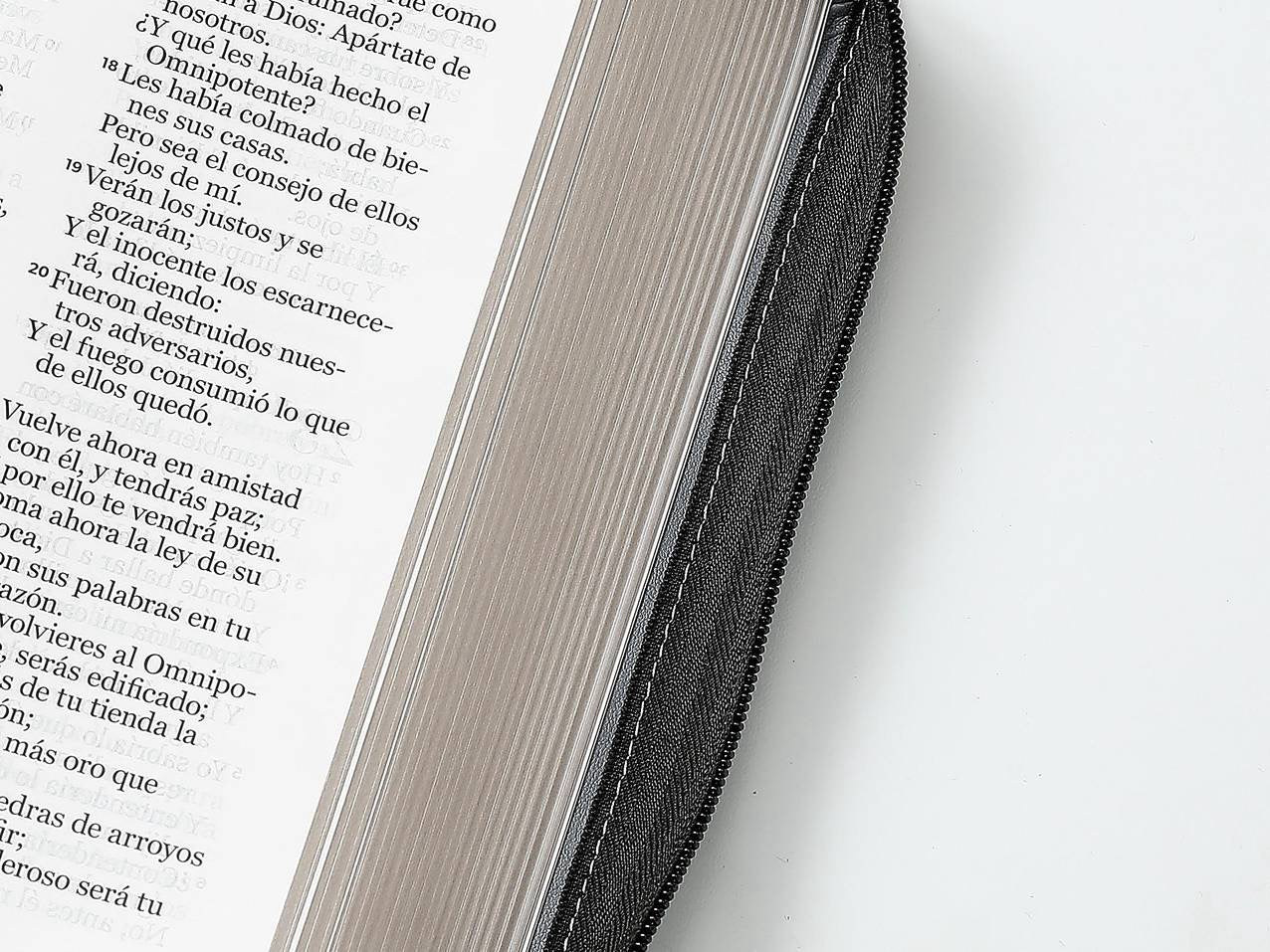 Biblia RVR60 tamaño manual letra Gigante