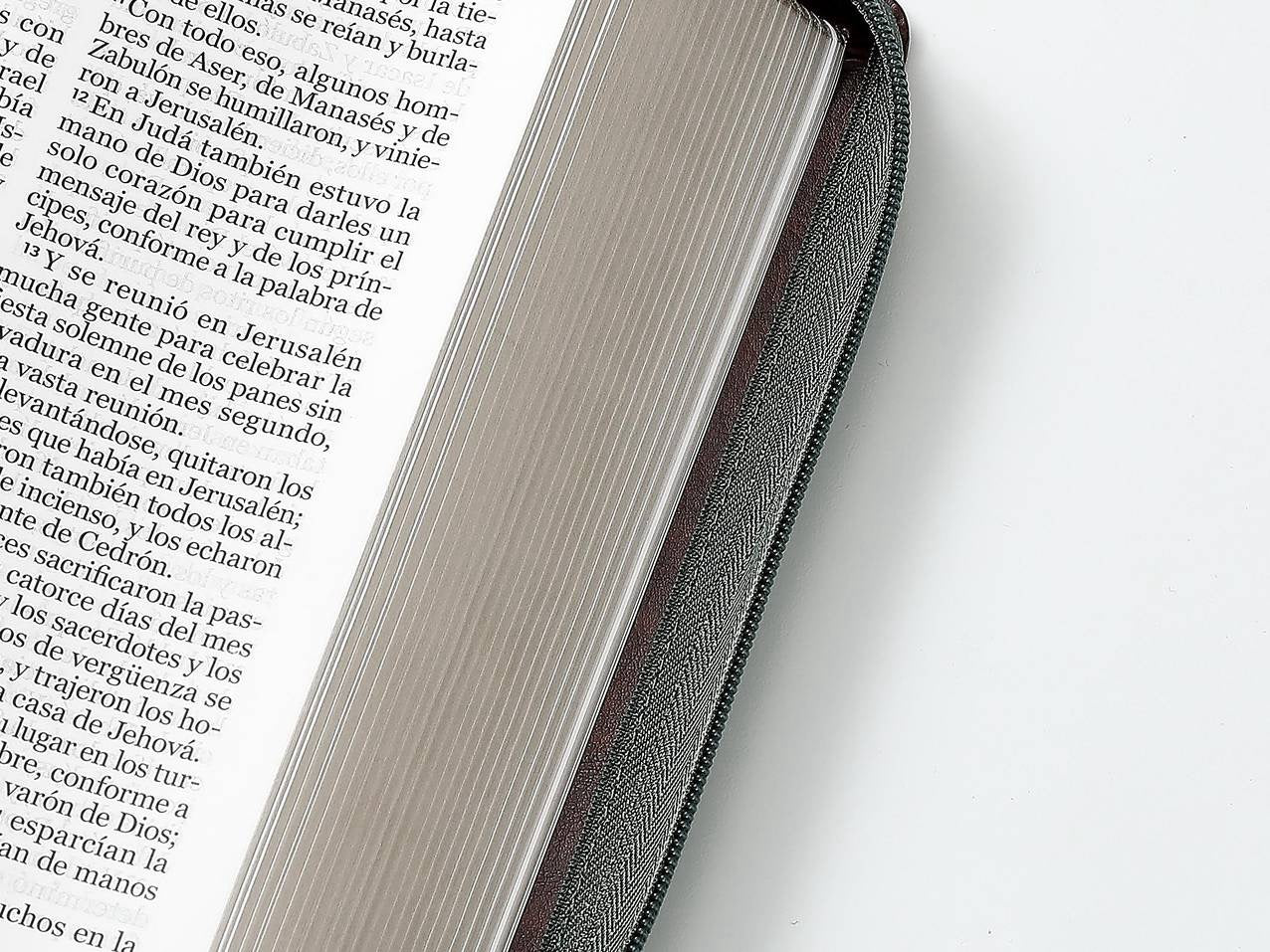 Biblia RVR60 tamaño manual letra Gigante Café