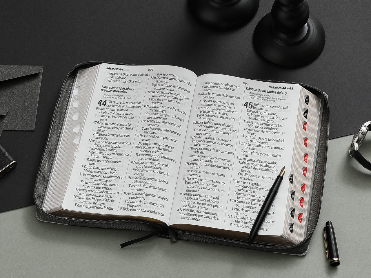 Biblia RVR60 Letra Súper Gigante león