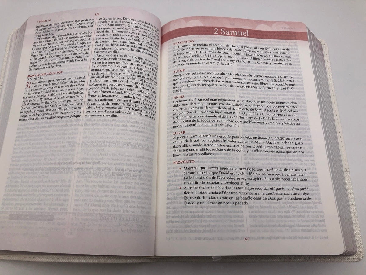 Biblia RVR 1960 Blanco