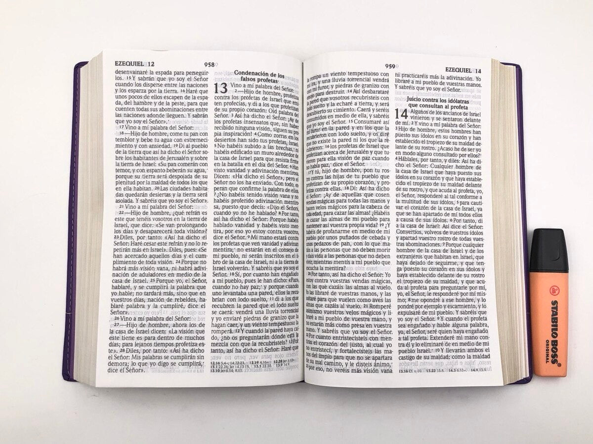 Biblia RVR2020 Tamaño Manual Letra Grande i/piel lila floral