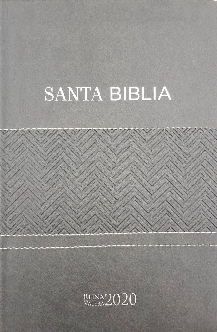 Biblia RVR2020 Tamaño Manual Letra Grande