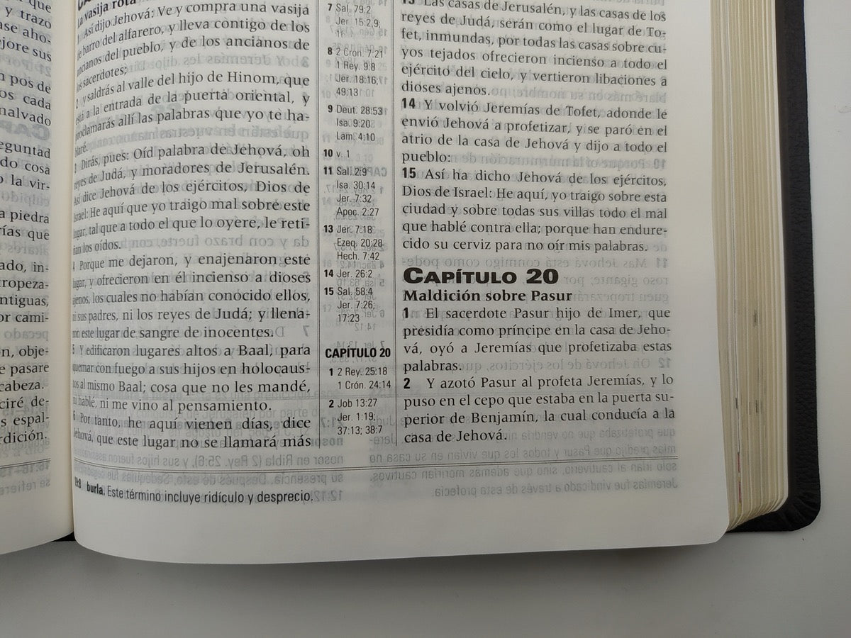 Biblia RVR 1960 de Estudio de la Profecia Piel Negro