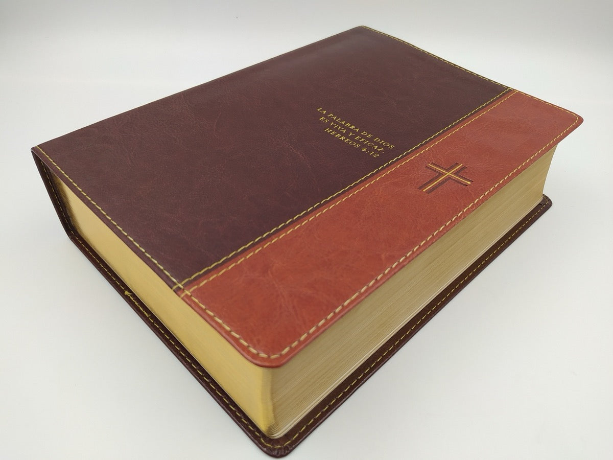 Biblia RVR 1960 de Estudio Diario Vivir Letra Grande Café