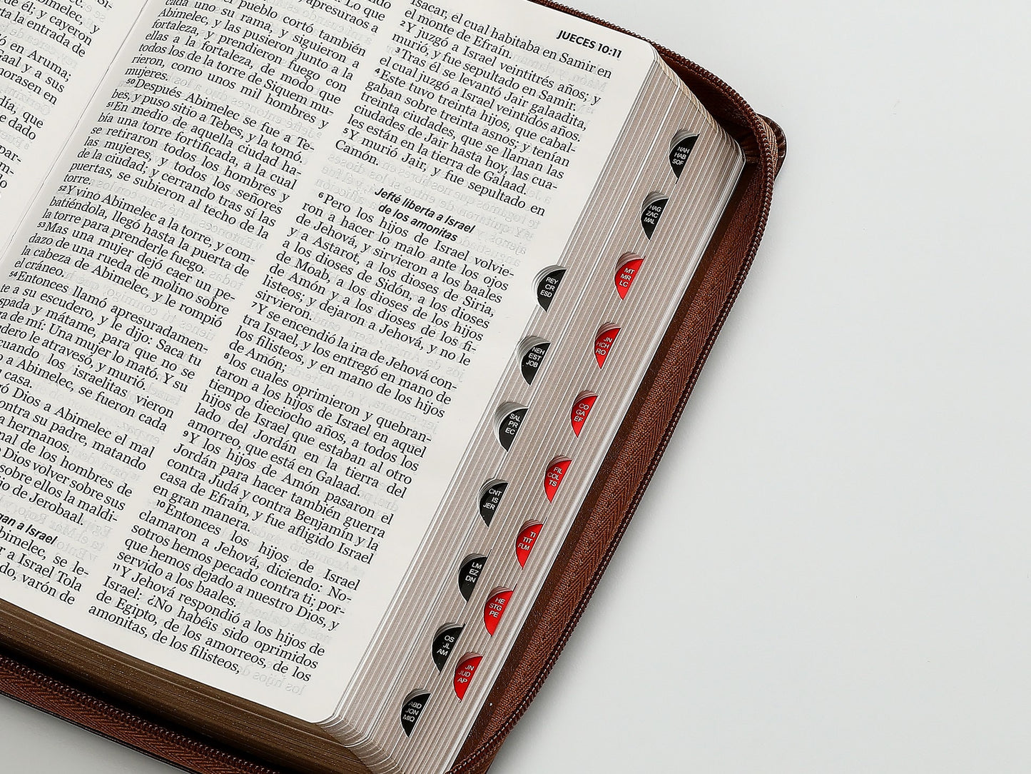 Biblia RVR60 Tamaño Manual letra grande con cierre indice