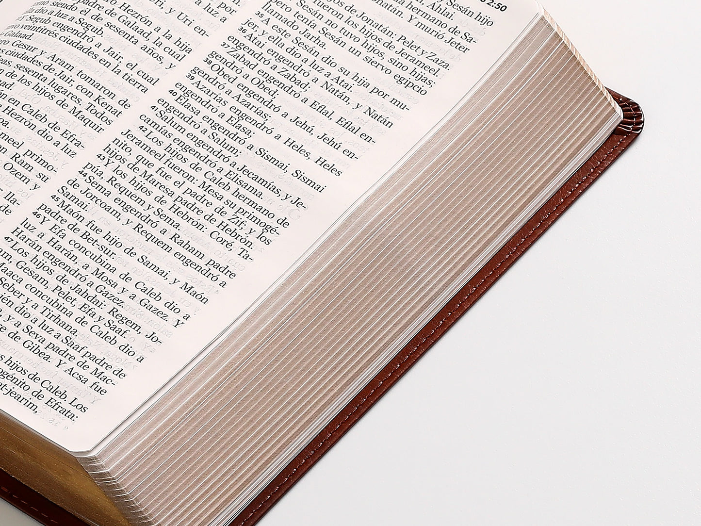 Biblia RVR60 Tamaño Manual Letra Grande Marrón