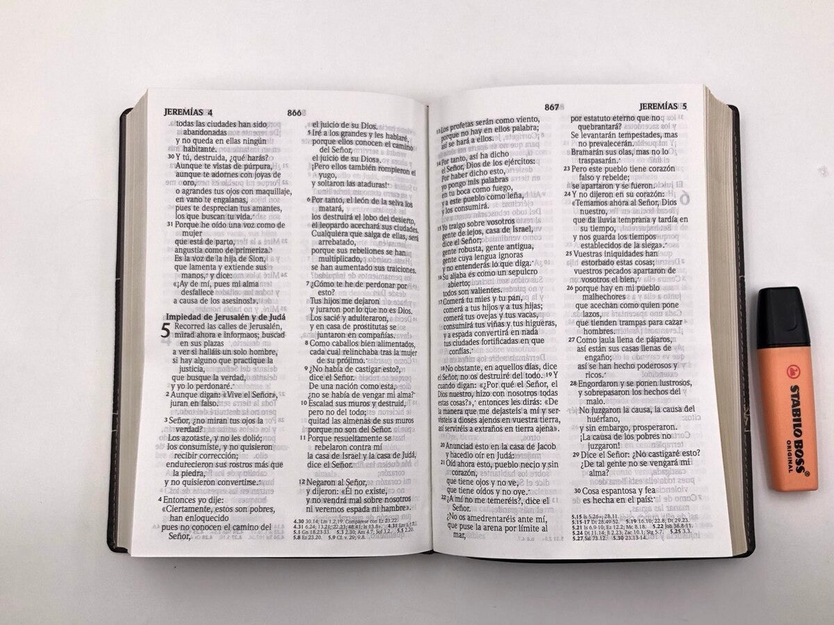 Biblia RVR2020 Tamaño Manual Letra Grande