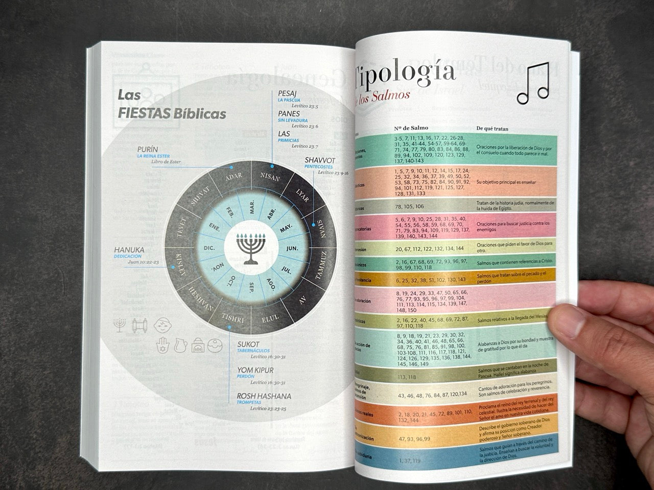 Biblia RVR 1960 economica