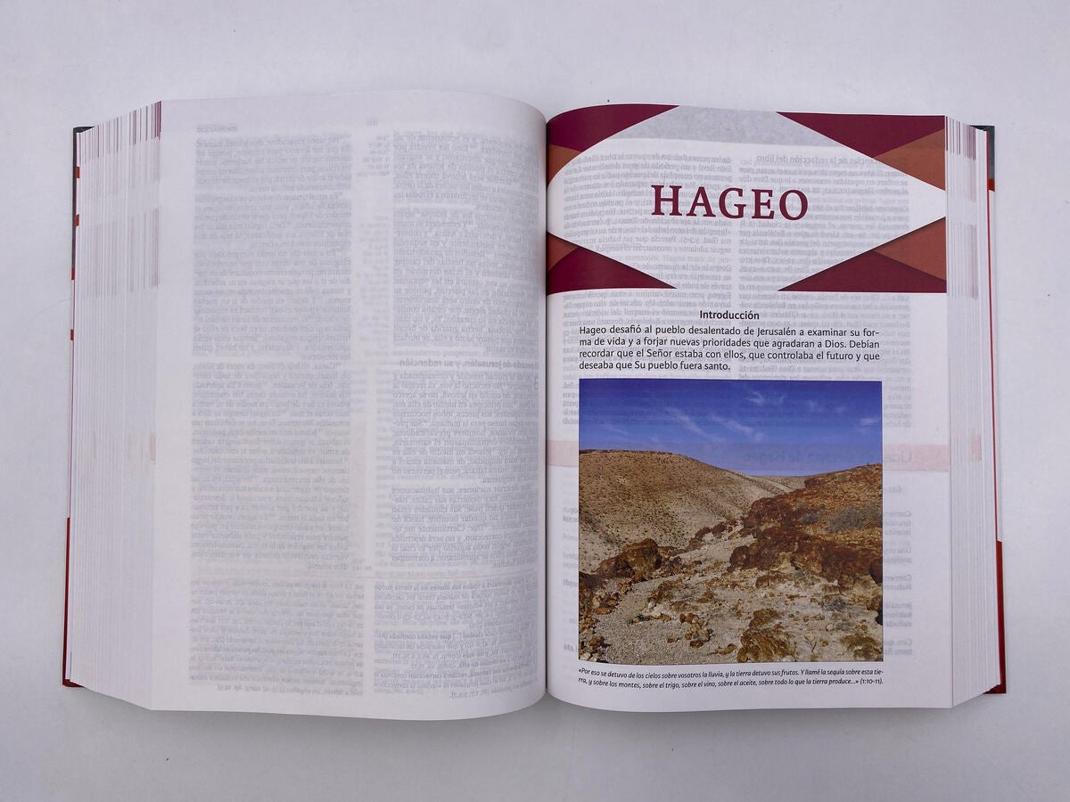 Biblia de Estudio Holman RVR60 Tapa Dura