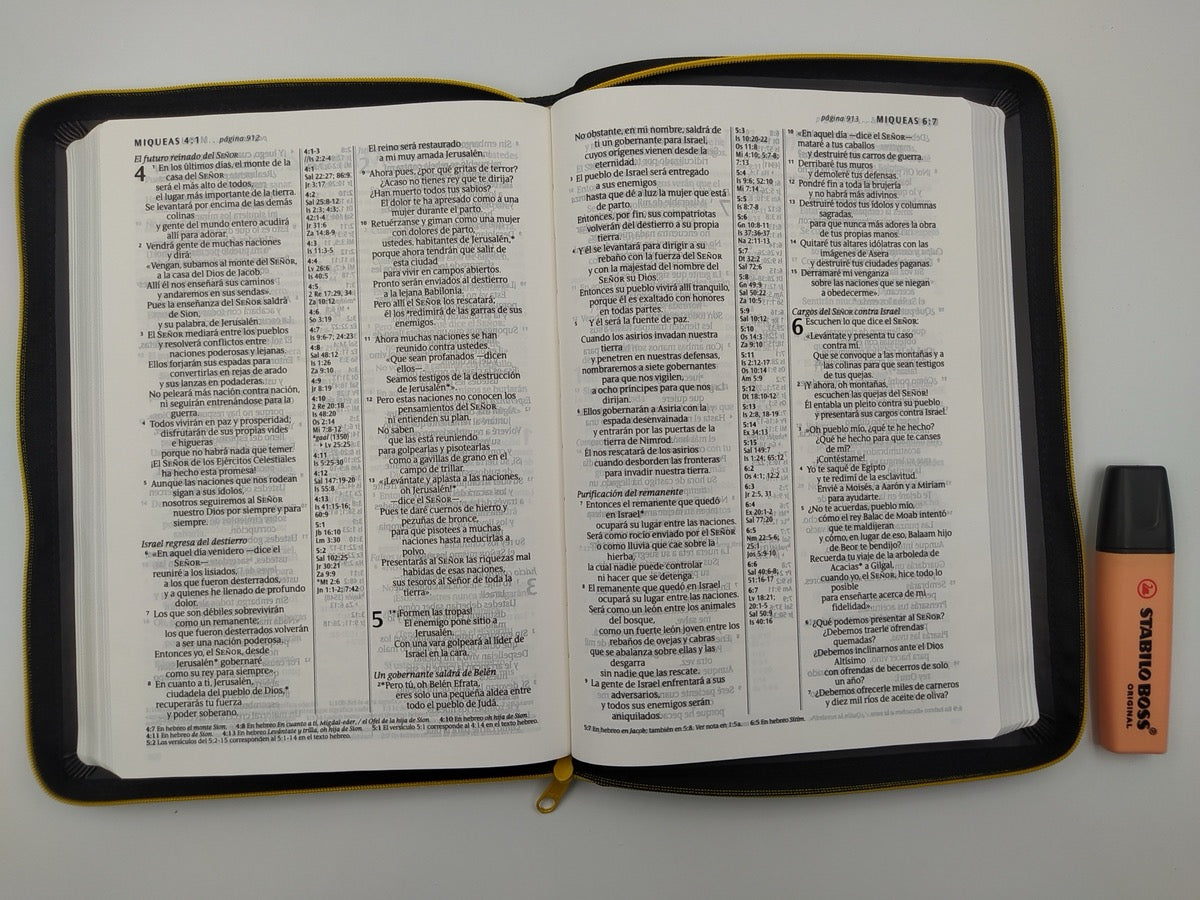 Biblia NTV edición cierre letra grande