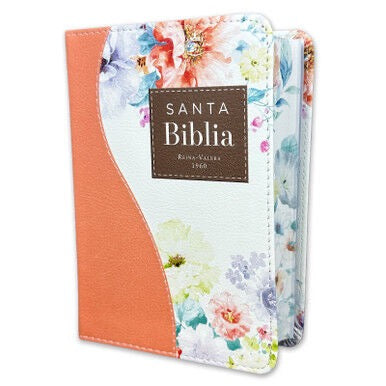 Biblia RVR60 bolsillo Colores