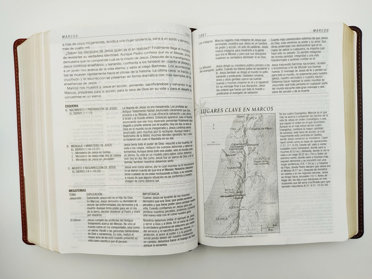 Biblia RVR 1960 de Estudio Diario Vivir Letra Grande Café