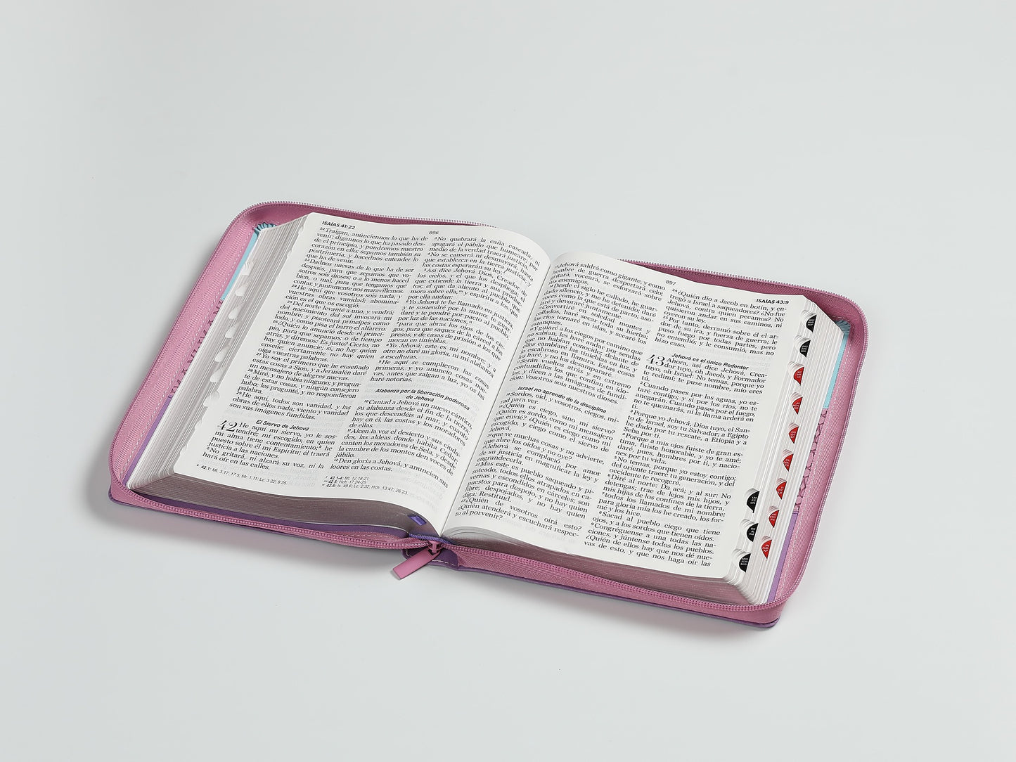 Biblia RVR60 Letra Gigante tricolor rosa