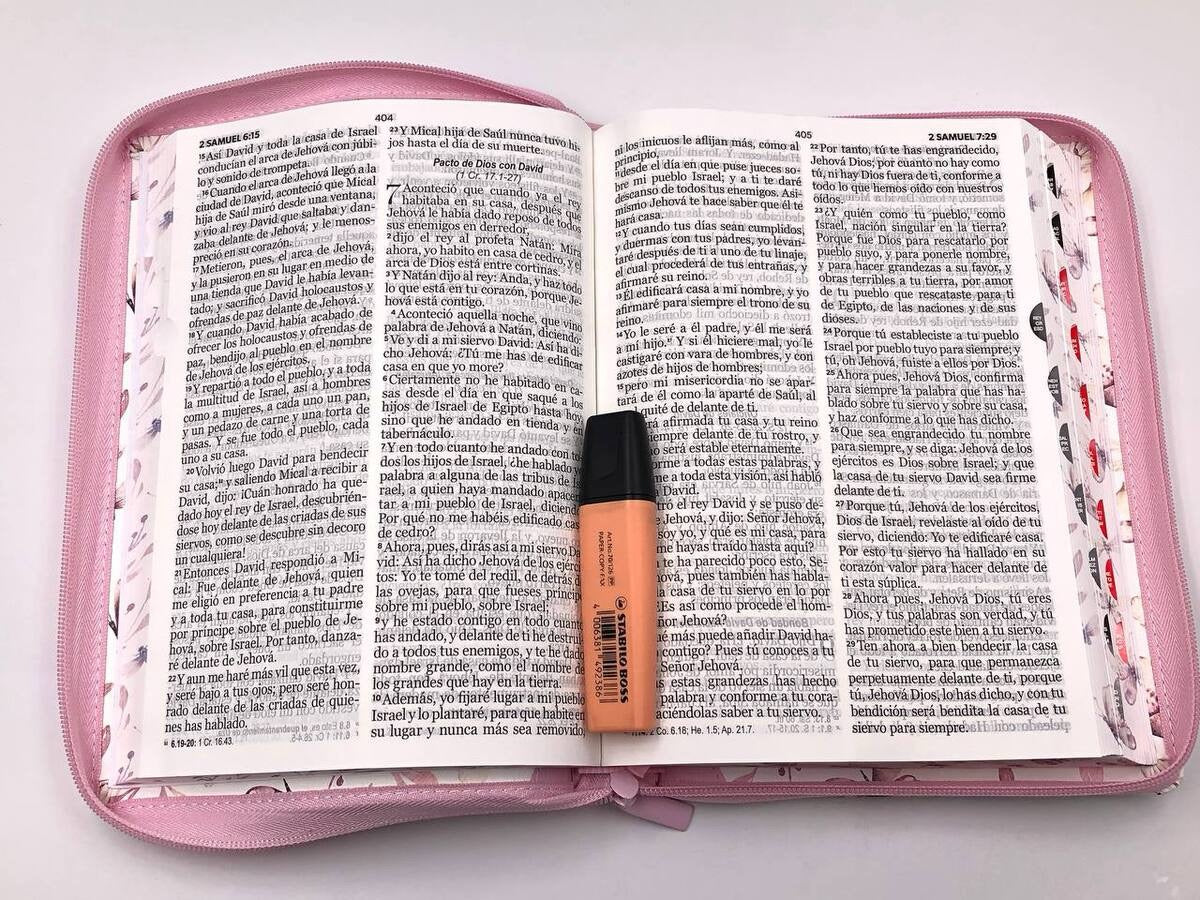 Biblia RVR60 Letra Gigante 15 puntos Rosa