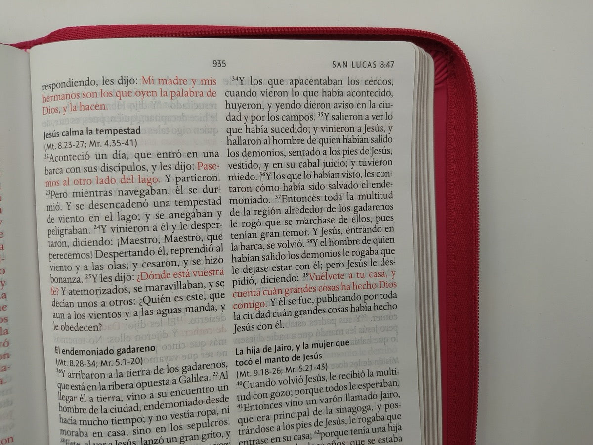 Biblia RVR 1960 Letra Grande Tamaño Manual Fuscia con Cierre