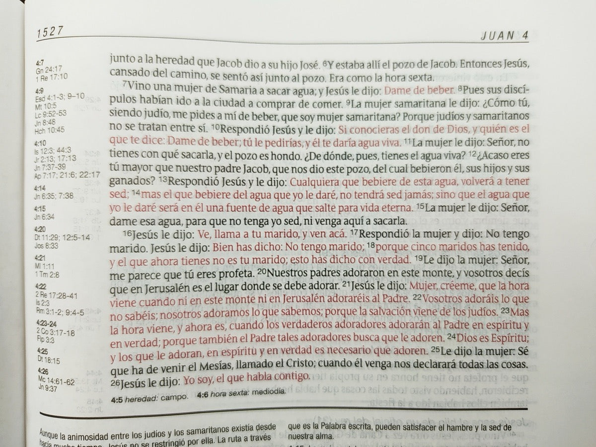 Biblia RVR 1960 de Estudio Diario Vivir Negro indice