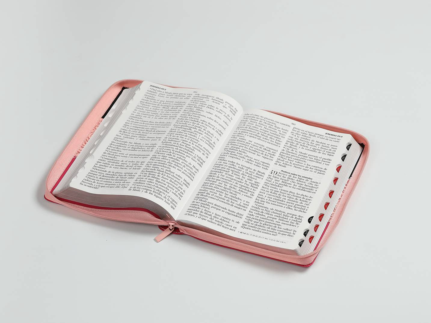 Biblia RVR60 Letra Gigante Tricolor Rosa