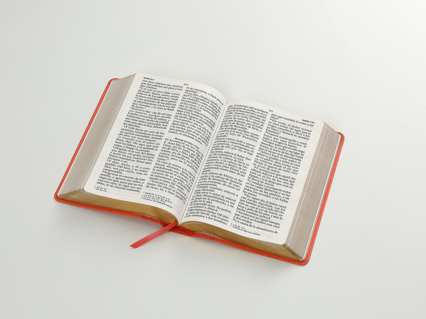 Biblia RVR60 Tamaño manual letra GIgante rosa