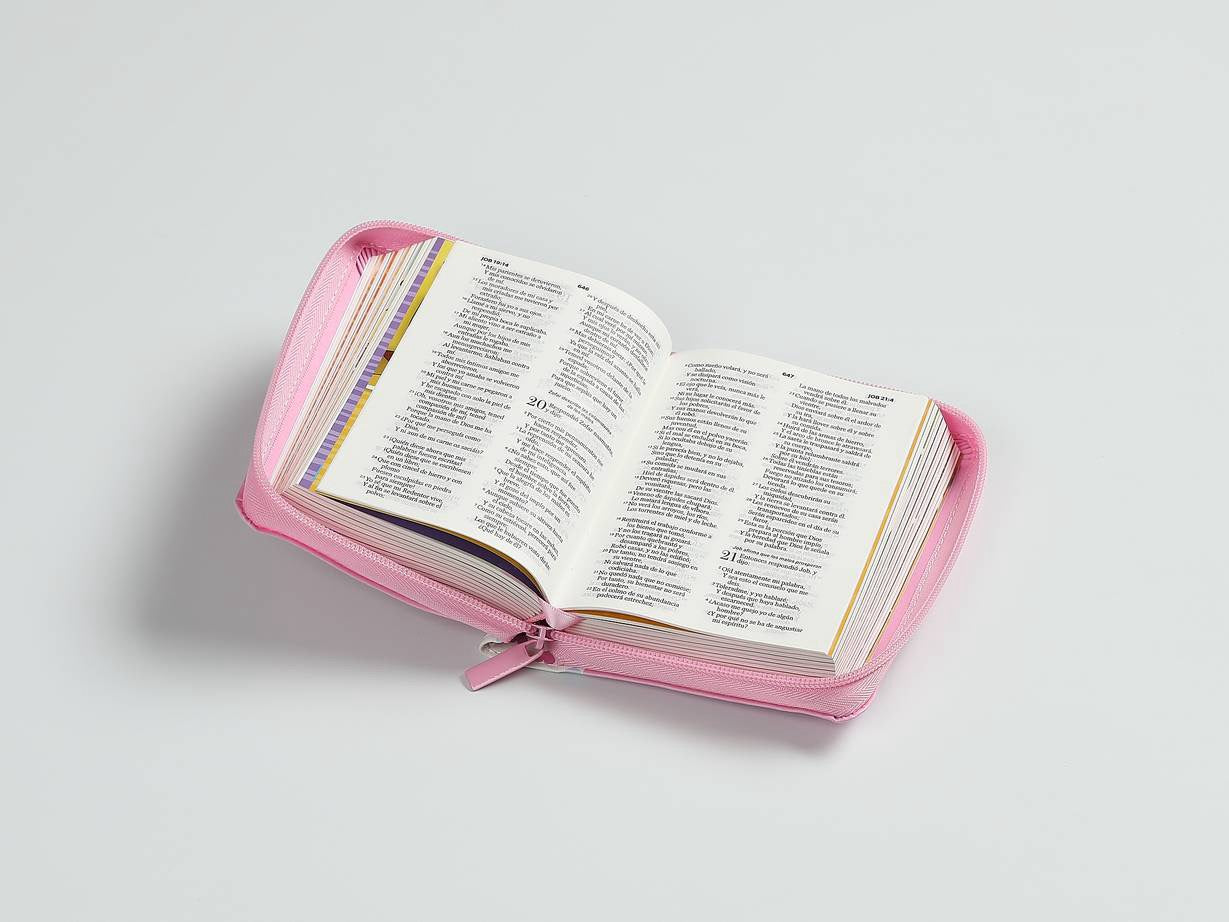 Biblia RVR60 Para Niños Cierre rosa