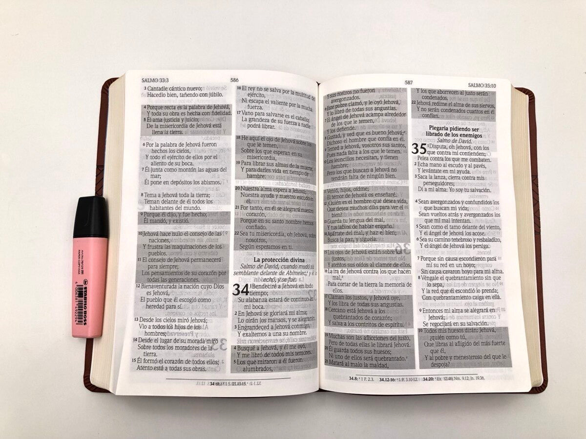 Biblia RVR 1960 de Promesas Letra Gigante